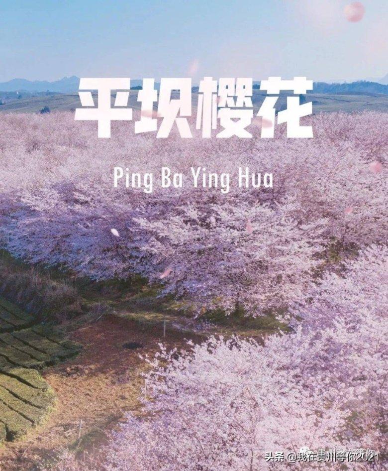 【活力中国】“低空高飞” 开启万亿产业新赛道